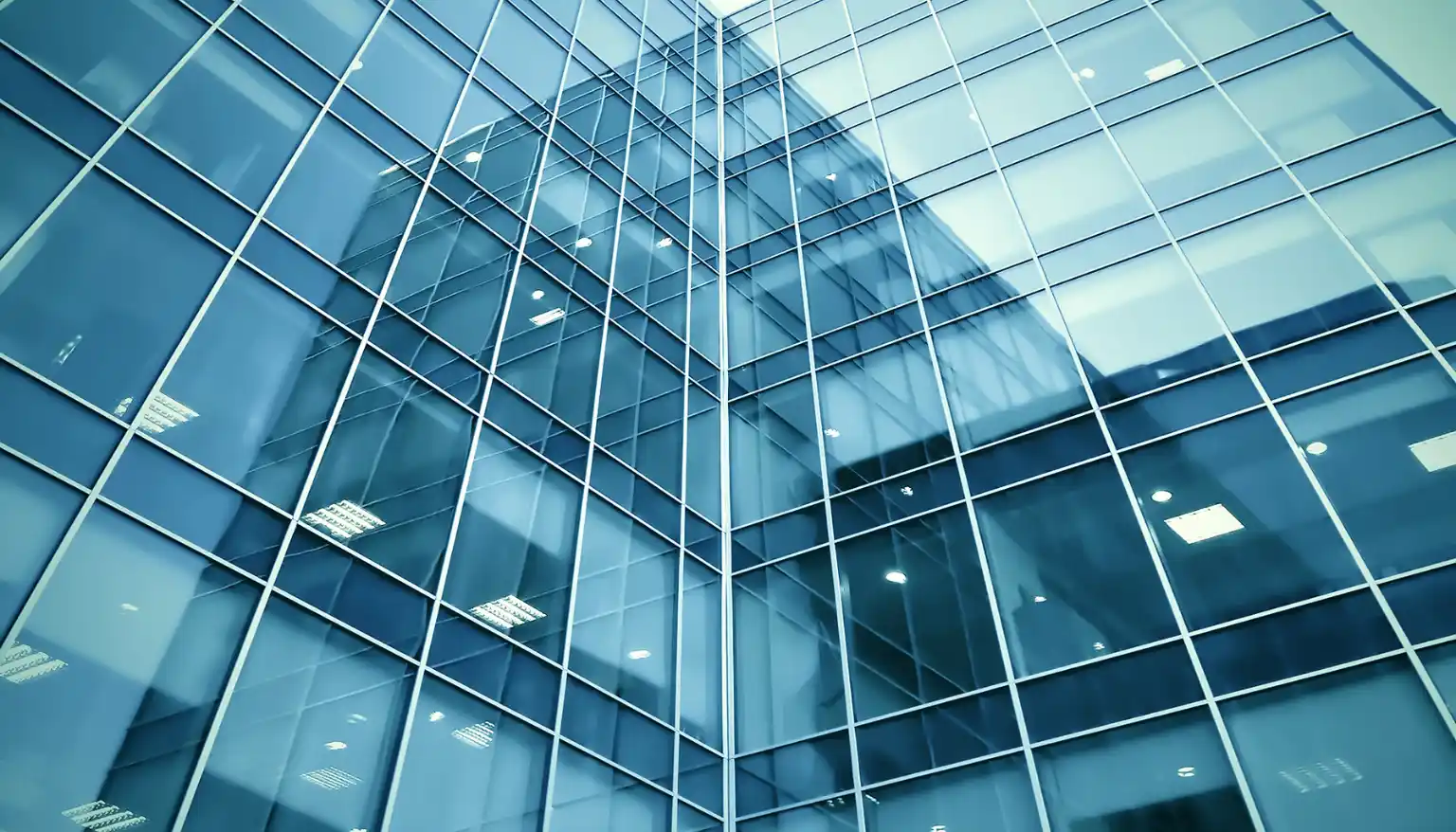 Company Power of Attorney